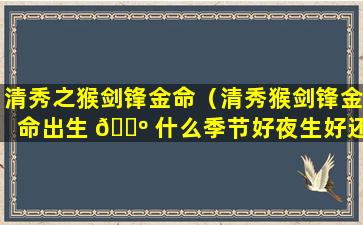 清秀之猴剑锋金命（清秀猴剑锋金命出生 🌺 什么季节好夜生好还是 🐦 日生仔）